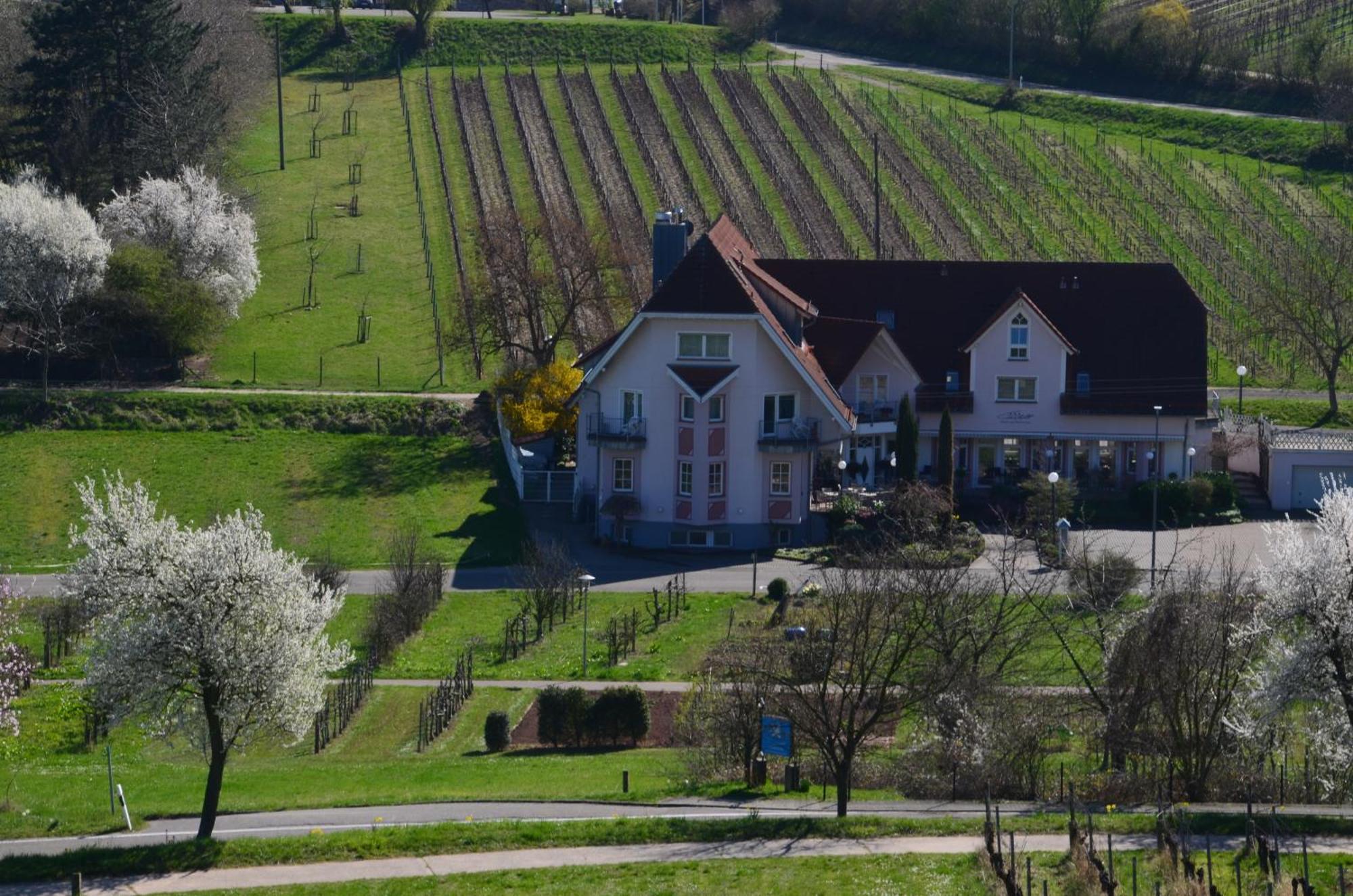 Castell & Restaurant Leinsweiler